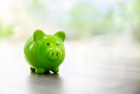 Copyright Shutterstock 2149334315 Brian A Jackson